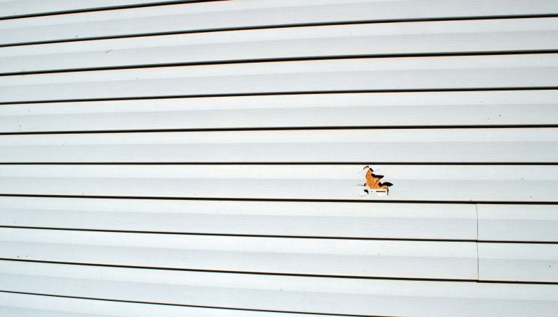 Siding Replacement Options